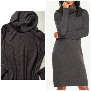 Ann Taylor Dress Sweater